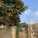 과원동로 | 제주도 서귀포 실외 자쿠지 독채 숙소 “스너글” 내돈내산 솔직후기