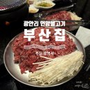 부산언양불고기 | 부산 미쉐린 가이드 맛집 광안리 언양불고기 부산집 내돈내산 후기