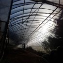 염소꿈농원 이미지