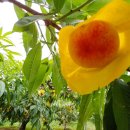 인희네농장 이미지