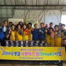 사랑드림 쿠키뉴스