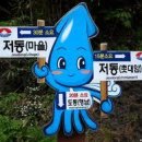 신비의 섬 ,,, 울릉도(독도) 산행+관광 9월12~13일(토~일) 이미지