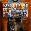 월드켄넬 이미지