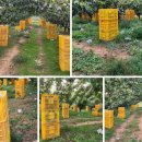 한길농원 이미지