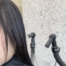 쌤시크헤어 빌리브센트로점
