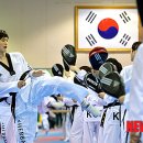 대표태권도 이미지