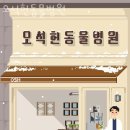 오석헌동물병원 이미지