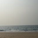 대천통나무리조트 이미지