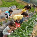 화곡농장 이미지