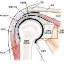 라임나무한의원 이미지