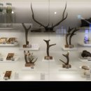 역삼-1305 이미지