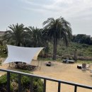 팜트리 빌리지 이미지