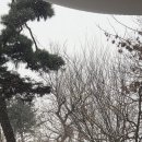팁씨
