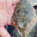 대호만로2 이미지