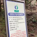 밭다실농원 | 대한다원 보성녹차밭 6세 아이랑 즐거운 시간 ft 포토존 정보