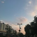 (주)에슬로우 이미지