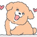생글댕글강아지유치원