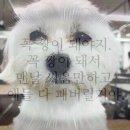 이디야 대전청사점