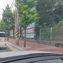 경철 | 원주나들이 경철이 콩이 만나러 연차 쓴날