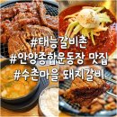 안양행복마을 | 안양 돼지갈비 맛집 태능갈비촌 안양종합운동장 근처 가족외식 내돈내산 후기
