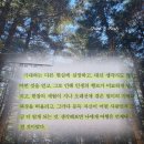 김영하 | 여행의 이유 책 | 김영하 책 후기 | 고3 여름 길 위에서 길을 잃고 사람을 만나다 추천 리뷰 핵심 요약