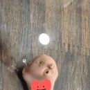 에바다보청기 - 미추홀구 경인로 446-1 | 에바다보청기