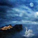 슈베르트의 밤 이미지