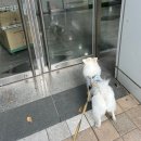 모모사진관 이미지