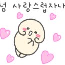 솔라베어스클럽 네이버블로그