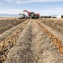 대성재활용 이미지