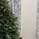 프롬도마 | [강릉여행] 반려견동반 강릉감성숙소 프롬도마 추천, 내돈내산 후기