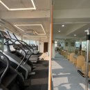 더라인핏 이미지