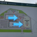 여명플라워 이미지