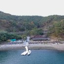 달뜨는비오리 이미지
