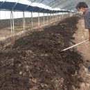 지렁이마을 이미지