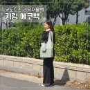 에코백 하나로 해결! 굿토드즈 리유저블백 실사용 후기