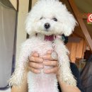 사나래글램핑장 이미지