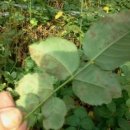 연옥농장 이미지