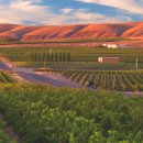 라인스미스 이미지