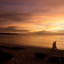 맥주의전설 이미지