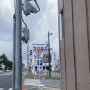 한국미나미카스라주 | [D+33] 오빠야 부탁으로 미나미카시와 다녀온 후기!
