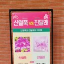 다리안 황토길 이미지