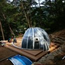 (주)돔돔 이미지