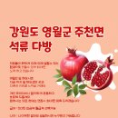 〓 강원도 영월군 주천면 ‥ 석 류 다 방 ‥ 〓 이미지