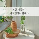 메이플핸즈studio