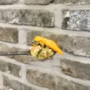 해산물신병교육대 | [경기도 용인] 55사단 신병교육대 근처 대게 맛집, 대게사랑 방문 후기
