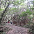 동산제1호 이미지