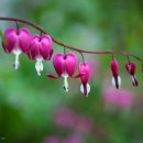 오늘의 찬 이미지