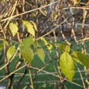 원문동문화교육센터 이미지