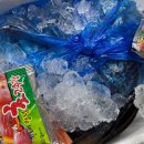 조개시장 | 수원농수산물도매시장 대우수산 조개 포장 후기